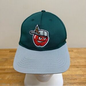 Fort Wayne Tincaps MiLB Hat Cap Adjustable Green/Gray OC Sports